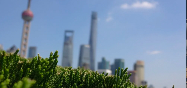 上海順舟智能科技股份有限公司